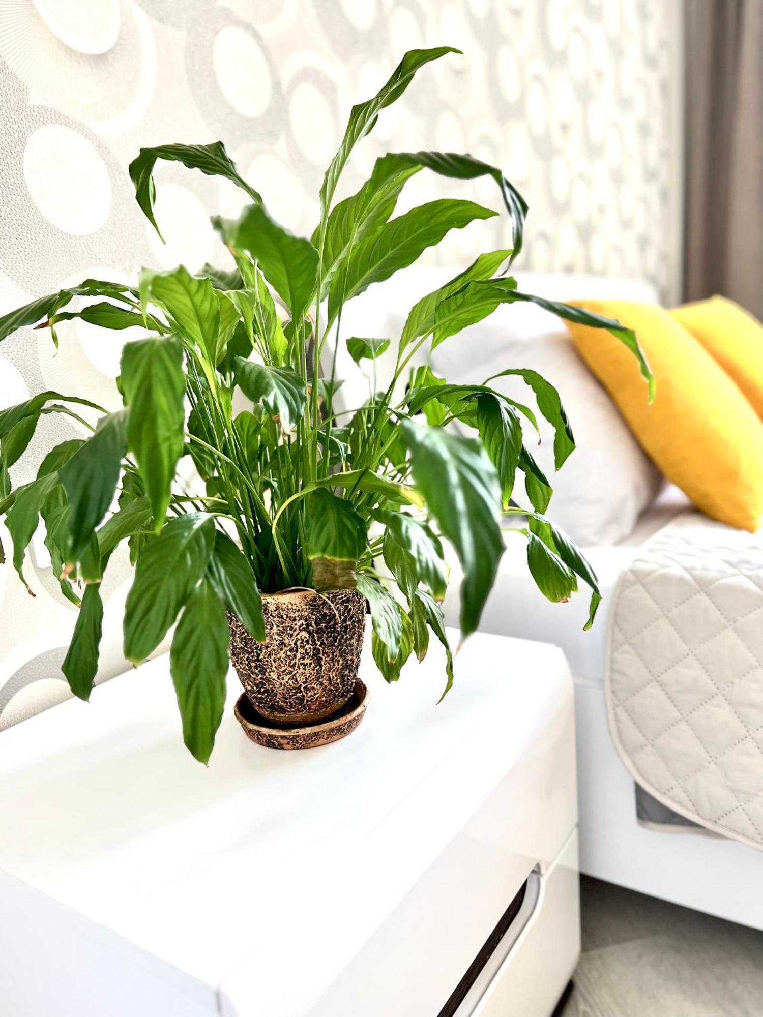 Osapart Beautiful Apartment In A Complex Semycvit Лвив Екстериор снимка